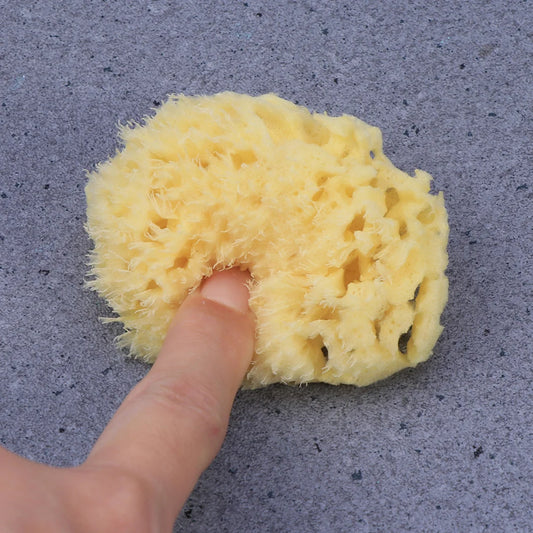 Honeycomb Natural Bath Sponge – Gentle for Sensitive Skin