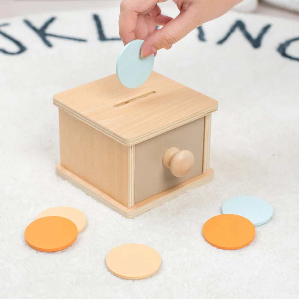 Montessori Wooden Ball Drop Toy – Early Learning Fun