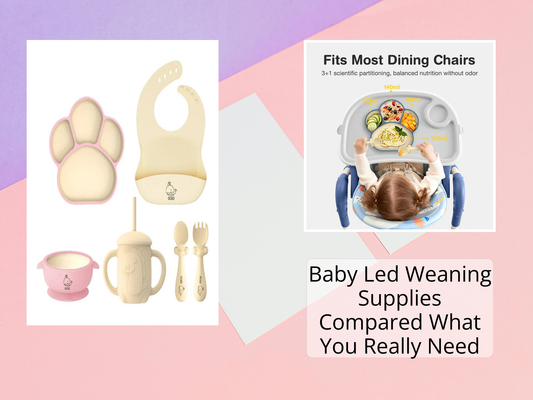 Baby Led Weaning Supplies Compared What You Really Need