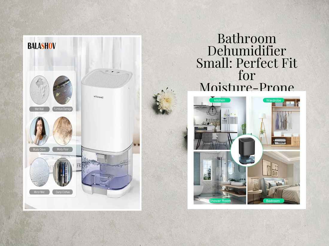 Bathroom Dehumidifier Small: Perfect Fit for Moisture-Prone Spaces