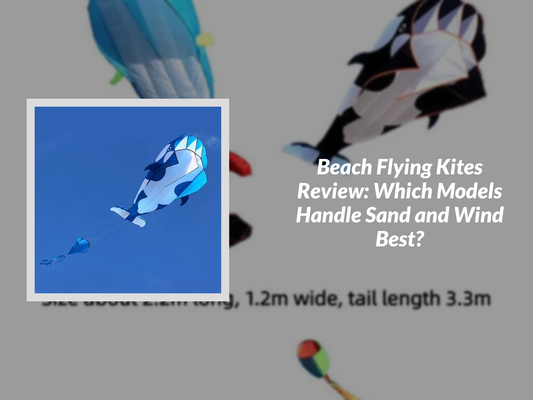 Beach Flying Kites Review: Which Models Handle Sand and Wind Best?