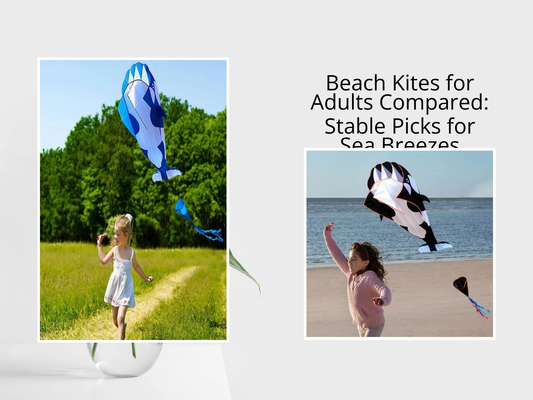 Beach Kites for Adults Compared: Stable Picks for Sea Breezes