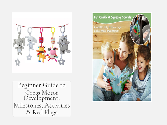 Beginner Guide to Gross Motor Development: Milestones, Activities & Red Flags