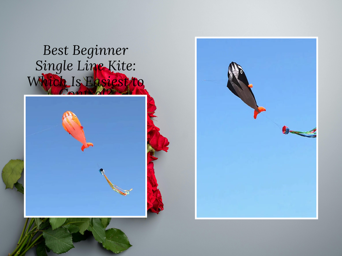 Best Beginner Single Line Kite: Which Is Easiest to Control?