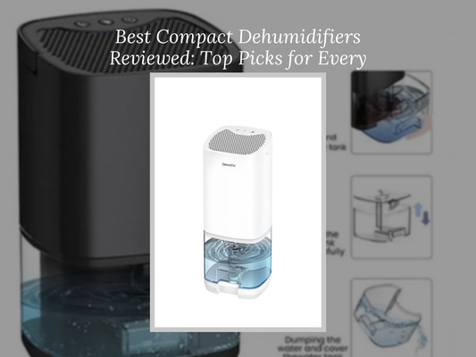 Best Compact Dehumidifiers Reviewed: Top Picks for Every Room