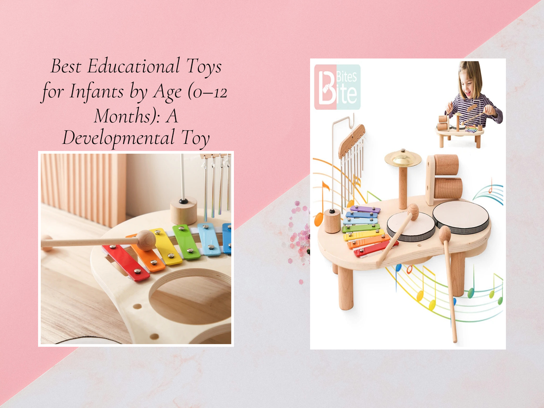 Best Educational Toys for Infants by Age (0–12 Months): A Developmental Toy Guide