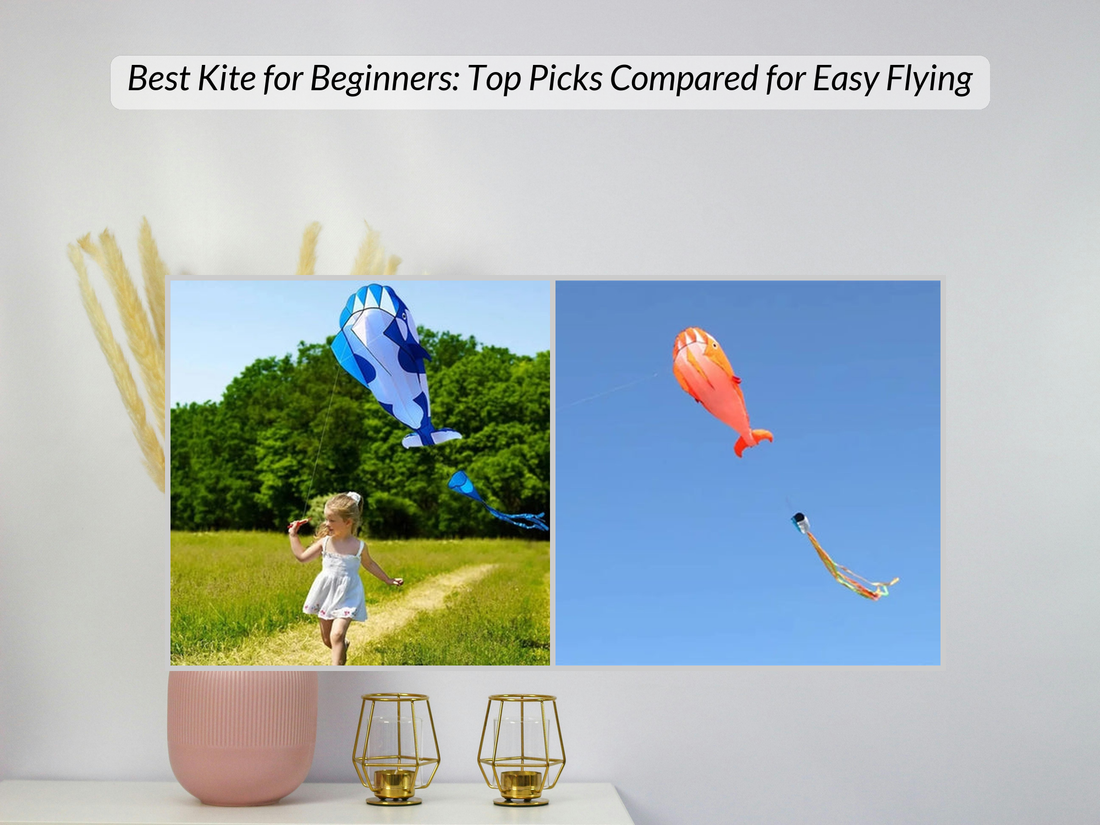 Best Kite for Beginners: Top Picks Compared for Easy Flying