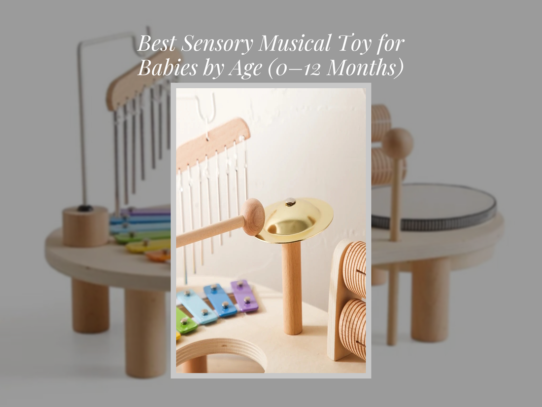 Best Sensory Musical Toy for Babies by Age (0–12 Months)
