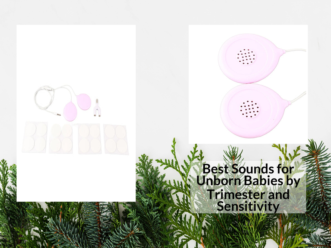 Best Sounds for Unborn Babies by Trimester and Sensitivity