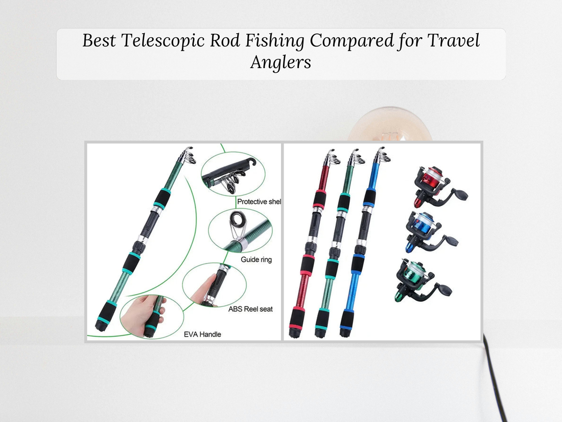 Best Telescopic Rod Fishing Compared for Travel Anglers