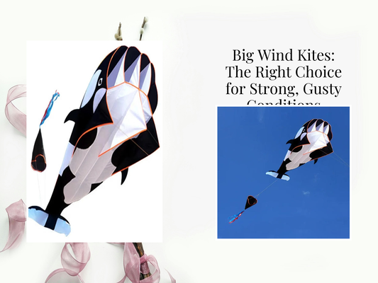 Big Wind Kites: The Right Choice for Strong, Gusty Conditions