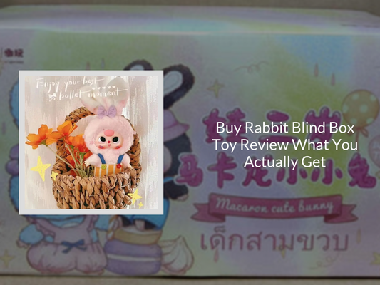 Buy Rabbit Blind Box Toy Review What You Actually Get