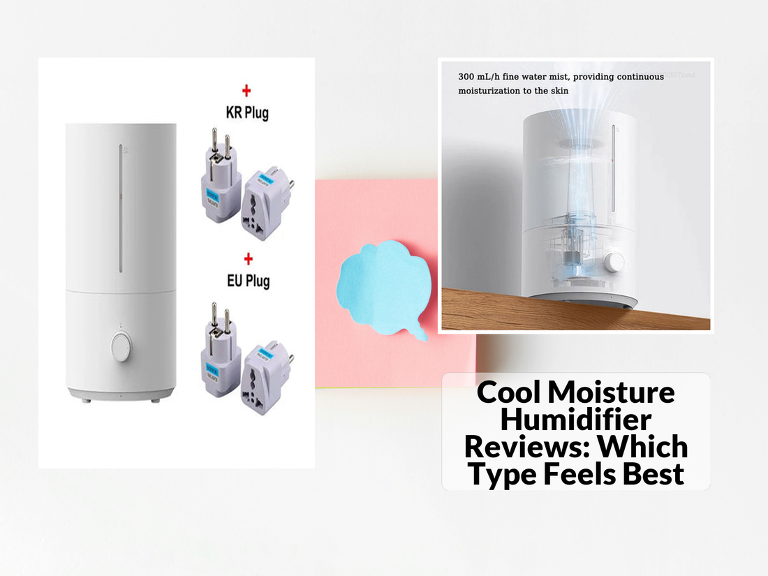 Cool Moisture Humidifier Reviews: Which Type Feels Best