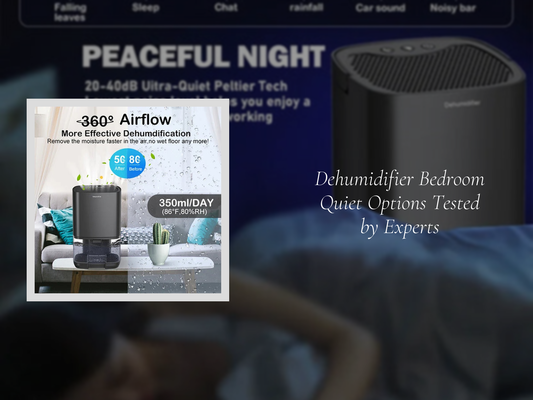 Dehumidifier Bedroom Quiet Options Tested by Experts