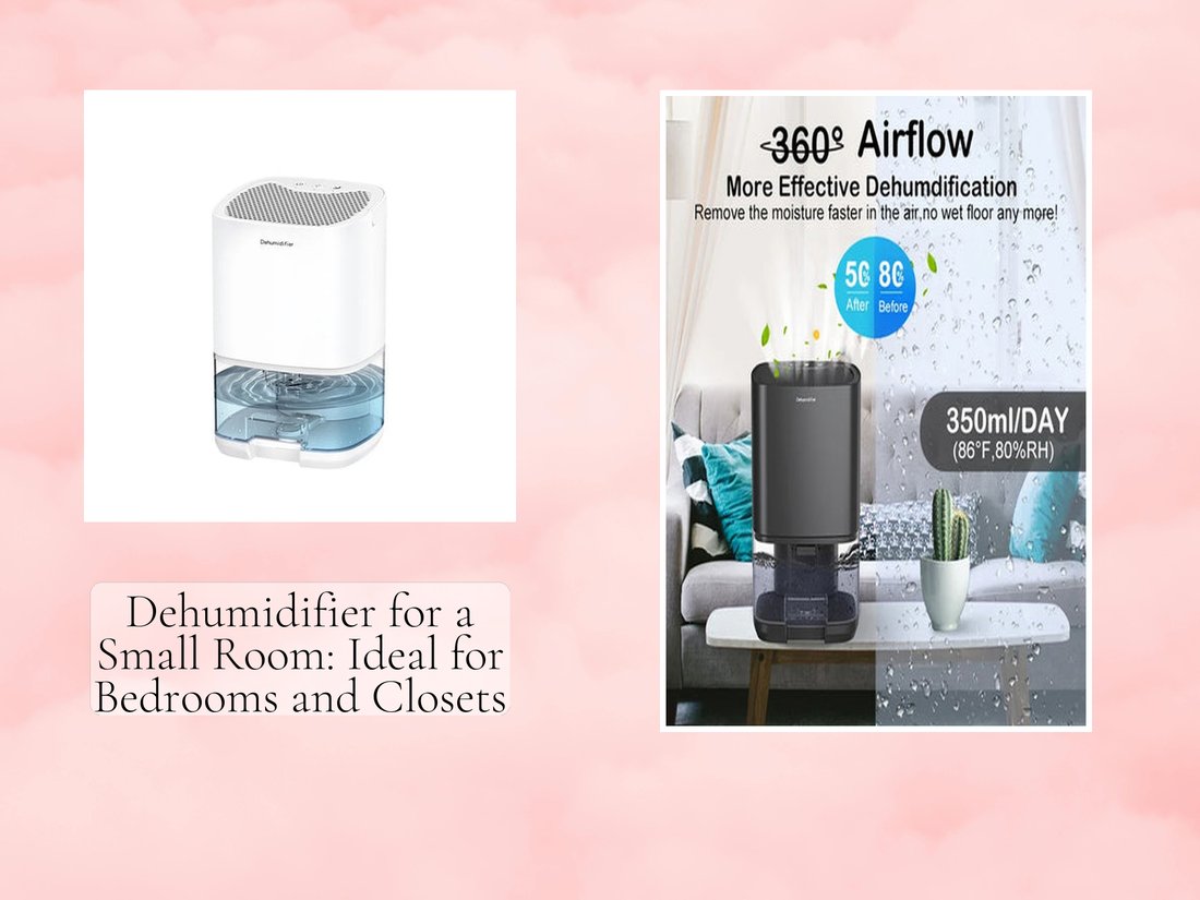 Dehumidifier for a Small Room: Ideal for Bedrooms and Closets