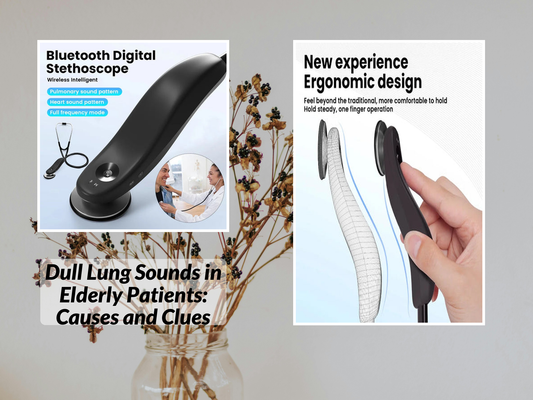 Dull Lung Sounds in Elderly Patients: Causes and Clues