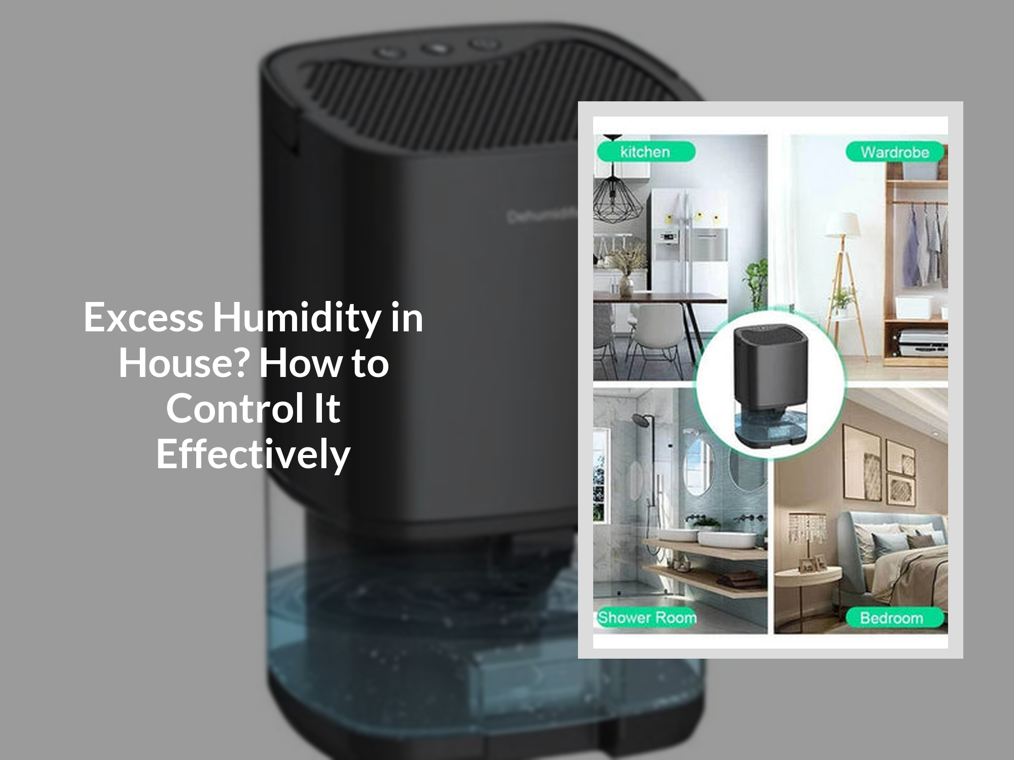 Excess Humidity in House? How to Control It Effectively – KentDO™ Mom ...