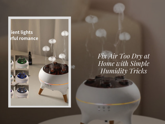 Fix Air Too Dry at Home with Simple Humidity Tricks