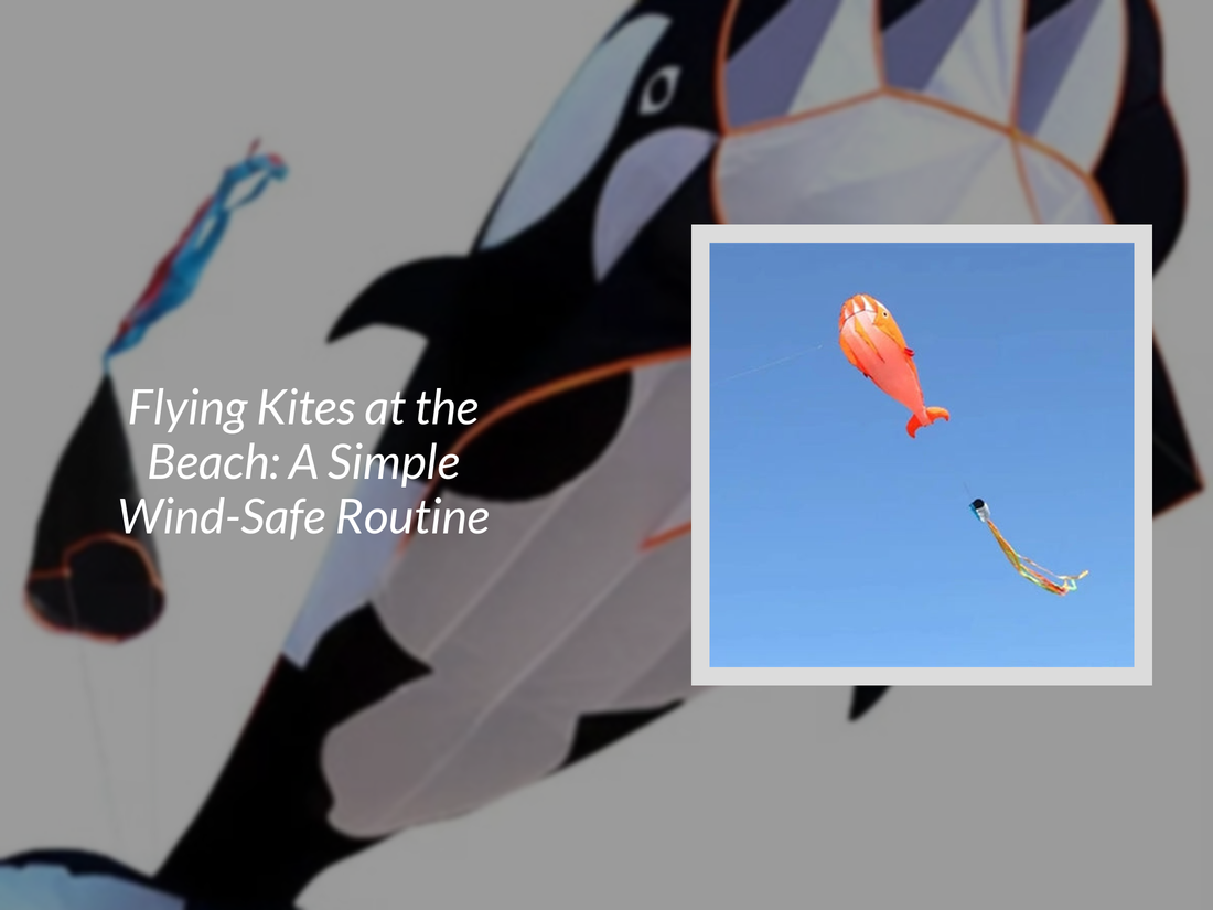 Flying Kites at the Beach: A Simple Wind-Safe Routine