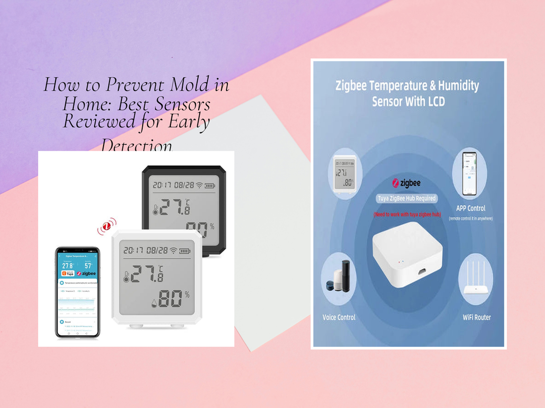 How to Prevent Mold in Home: Best Sensors Reviewed for Early Detection