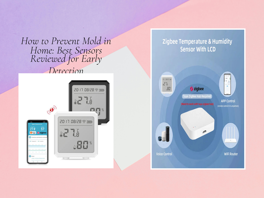 How to Prevent Mold in Home: Best Sensors Reviewed for Early Detection