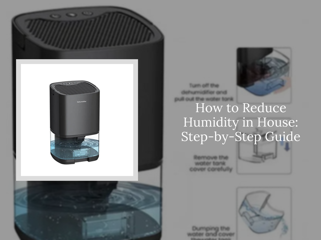 How to Reduce Humidity in House: Step-by-Step Guide