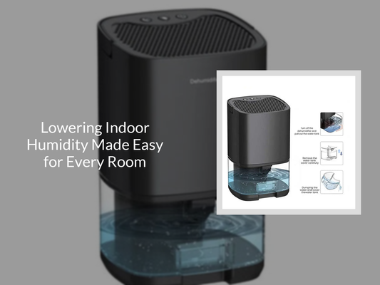 Lowering Indoor Humidity Made Easy for Every Room