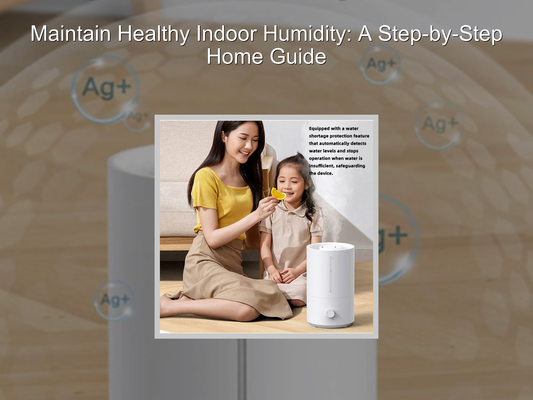 Maintain Healthy Indoor Humidity: A Step-by-Step Home Guide