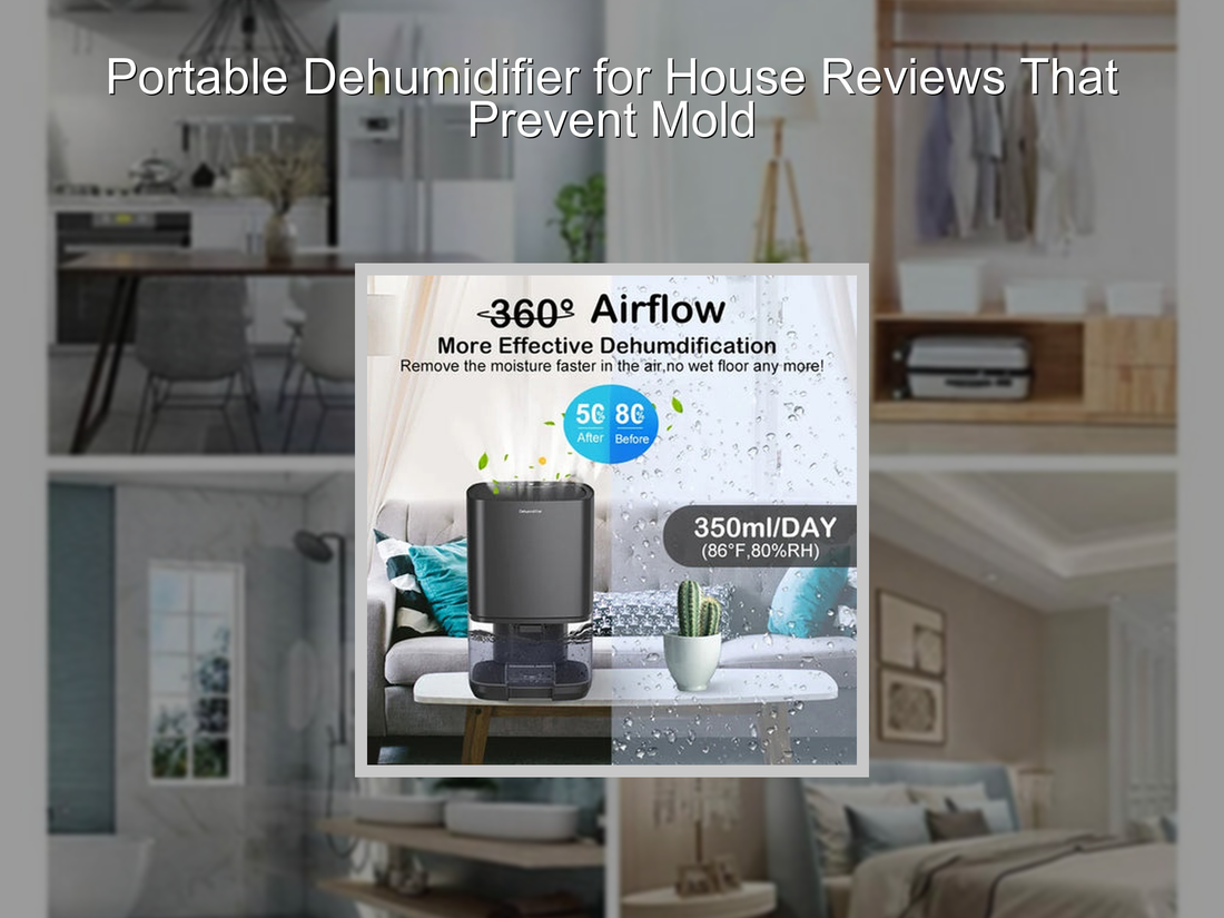 Portable Dehumidifier for House Reviews That Prevent Mold