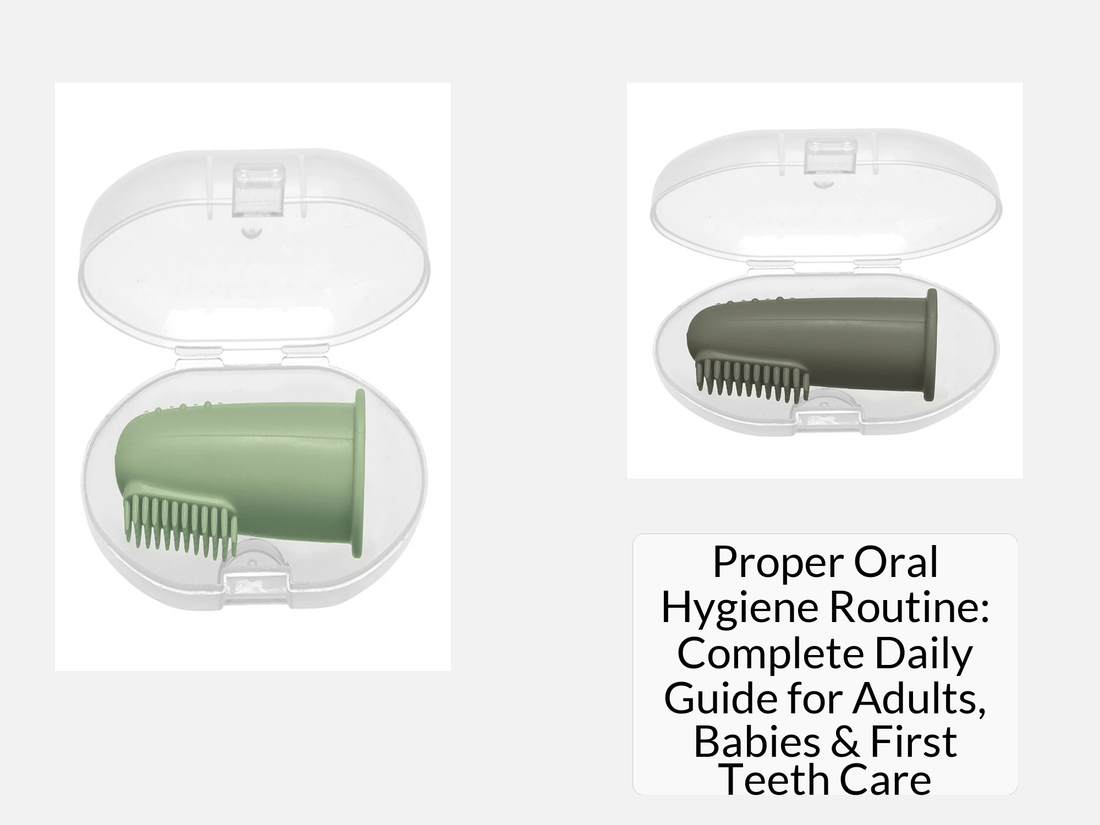 Proper Oral Hygiene Routine: Complete Daily Guide for Adults, Babies & First Teeth Care