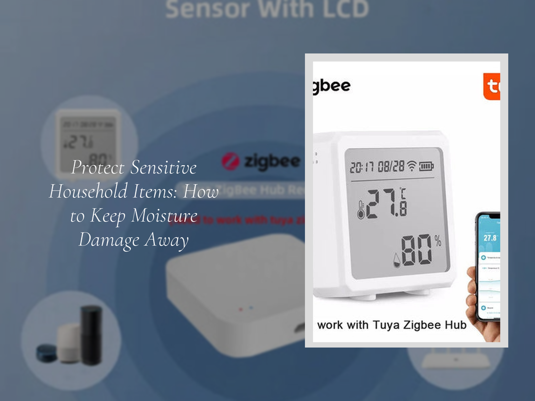 Protect Sensitive Household Items: How to Keep Moisture Damage Away