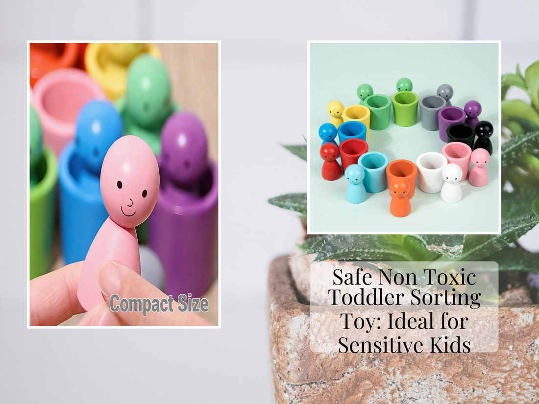 Safe Non Toxic Toddler Sorting Toy: Ideal for Sensitive Kids