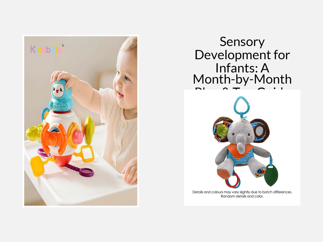 Sensory Development for Infants: A Month-by-Month Play & Toy Guide