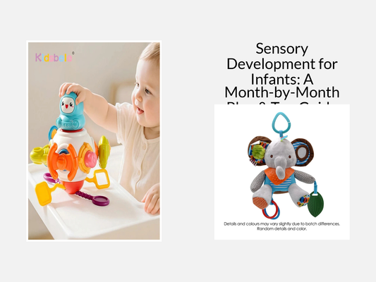 Sensory Development for Infants: A Month-by-Month Play & Toy Guide