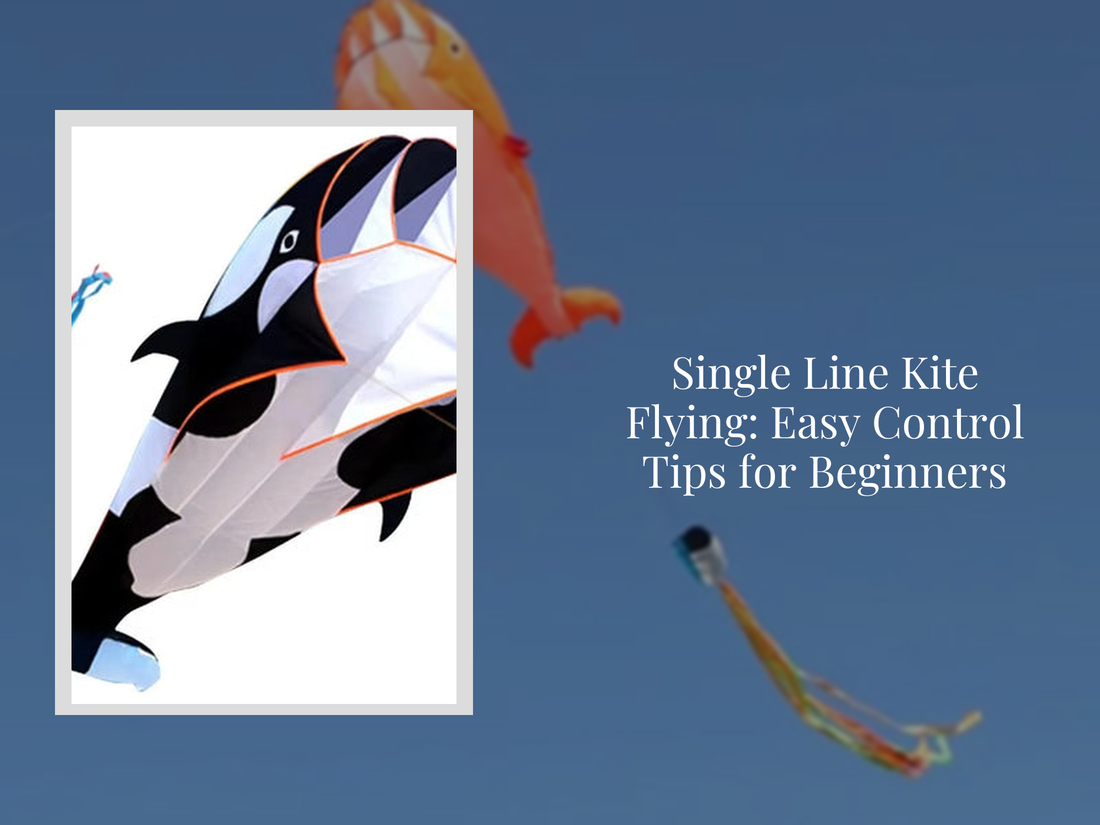 Single Line Kite Flying: Easy Control Tips for Beginners