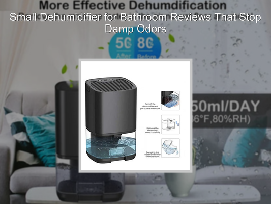 Small Dehumidifier for Bathroom Reviews That Stop Damp Odors