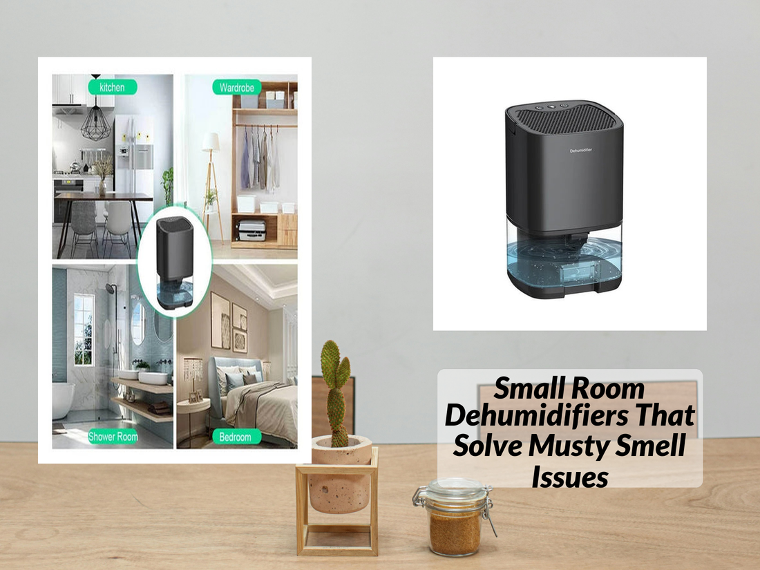 Small Room Dehumidifiers That Solve Musty Smell Issues