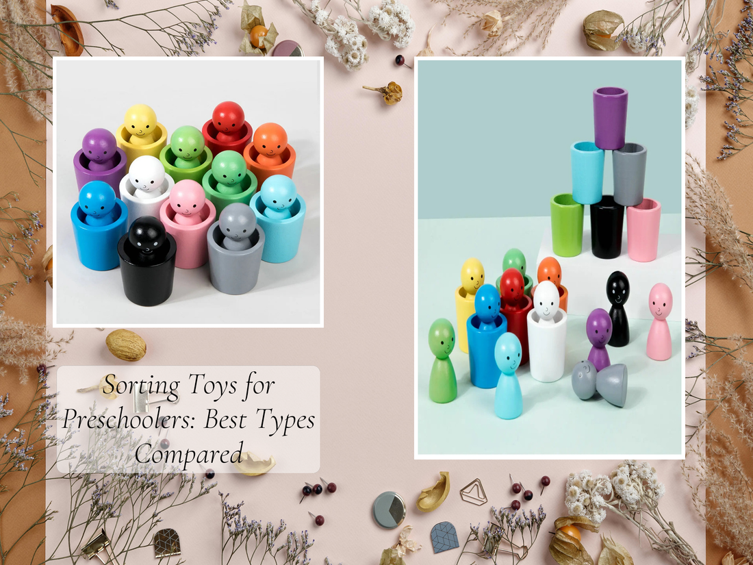 Sorting Toys for Preschoolers: Best Types Compared