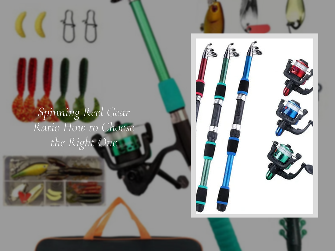 Spinning Reel Gear Ratio How to Choose the Right One