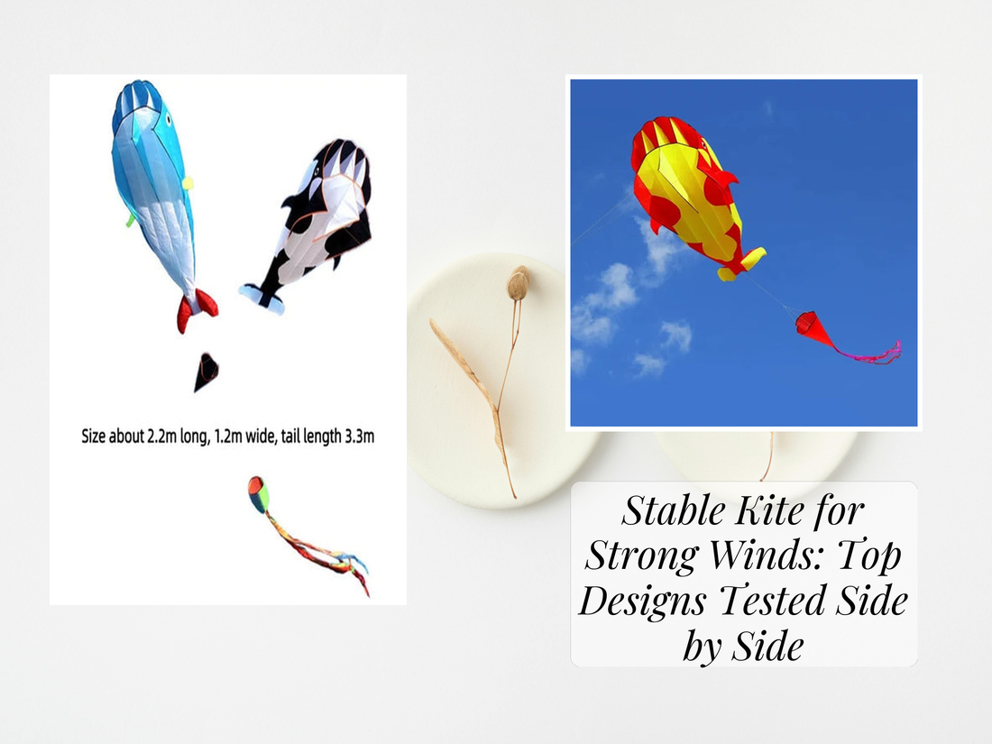 Stable Kite for Strong Winds: Top Designs Tested Side by Side