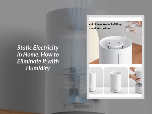 Static Electricity in Home: How to Eliminate It with Humidity