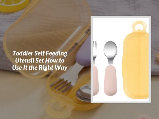 Toddler Self Feeding Utensil Set How to Use It the Right Way