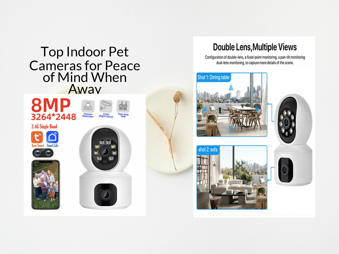 Top Indoor Pet Cameras for Peace of Mind When Away