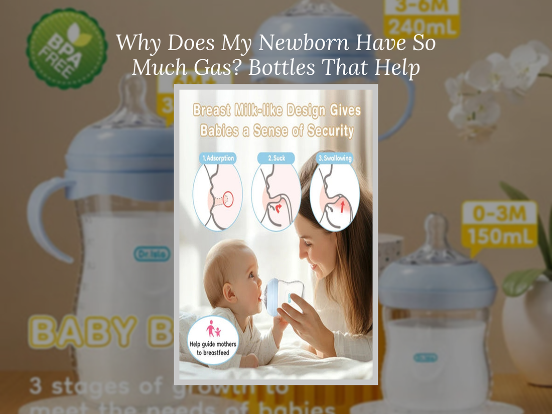 Why Does My Newborn Have So Much Gas? Bottles That Help