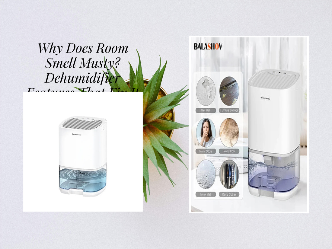 Why Does Room Smell Musty? Dehumidifier Features That Fix It