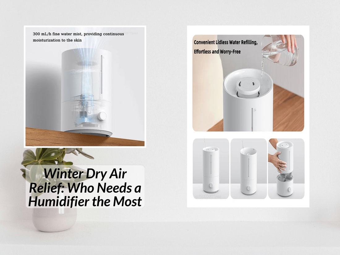 Winter Dry Air Relief: Who Needs a Humidifier the Most