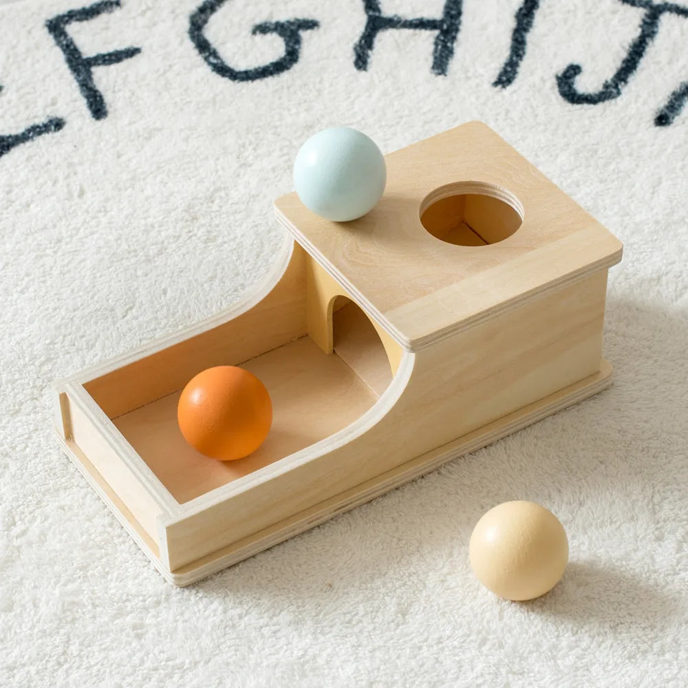 Montessori Wooden Ball Drop Toy – Early Learning Fun