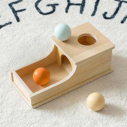 Montessori Wooden Ball Drop Toy – Early Learning Fun