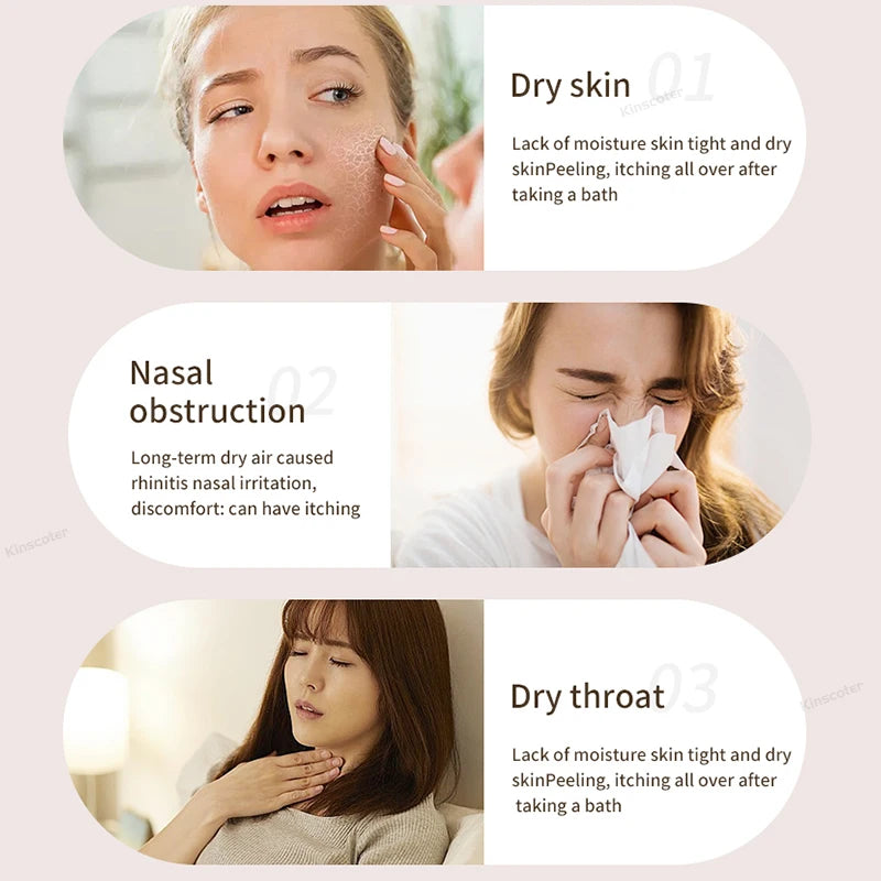 Double Spray Air Humidifier – Fast Moisture & Quiet Cool Mist