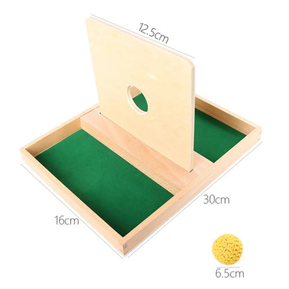 Montessori Coin Box Toy for Toddlers – Boost Fine Motor Skills